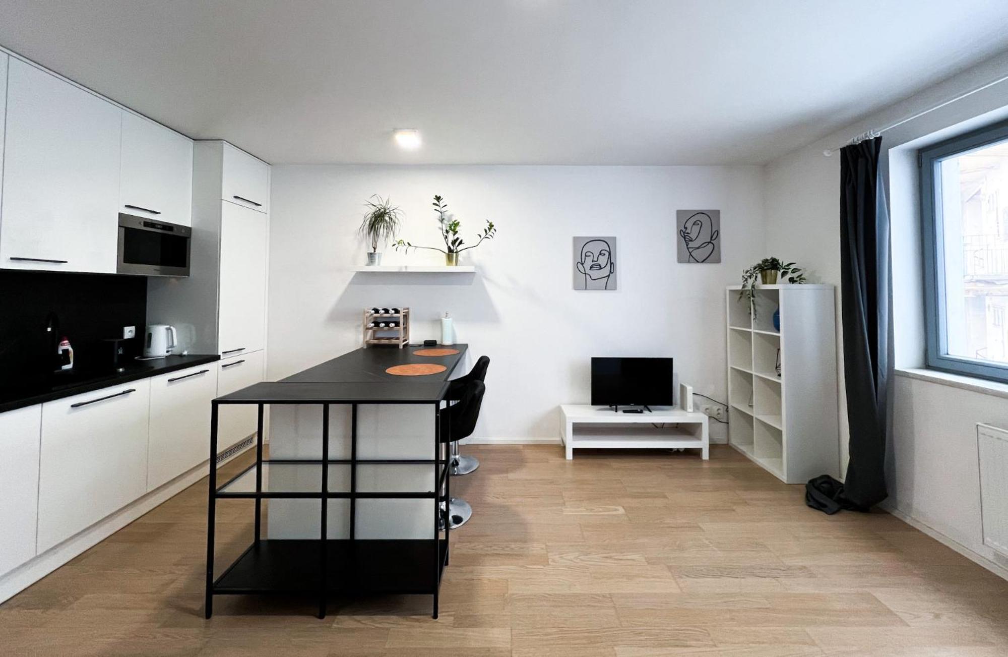 布尔诺Apartman Vlna公寓 外观 照片
